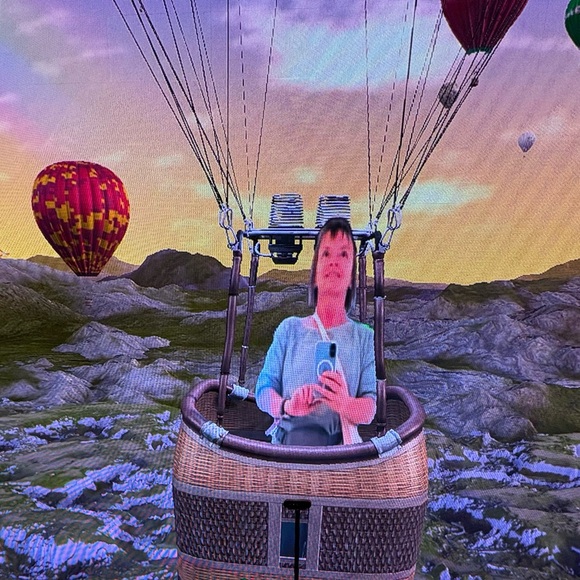 Meet your Posher, Jane - Picture 2 of 2